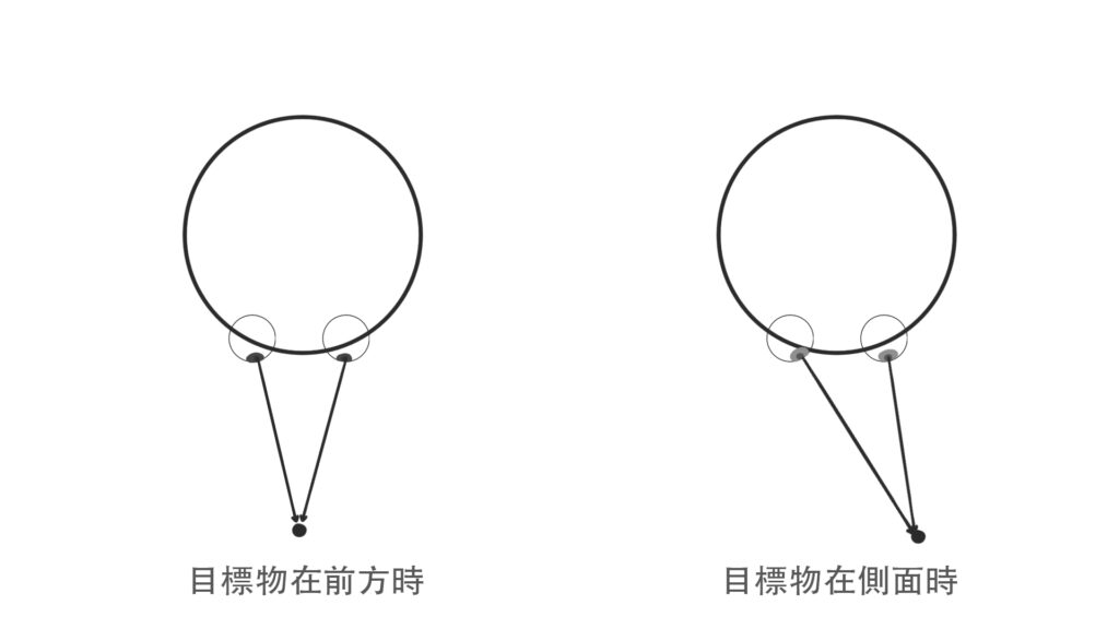 Top-down diagram of how both eyes rotate toward a target