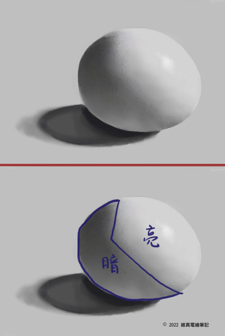 Study of an egg showing cast shadow, form shadow, and reflected light
