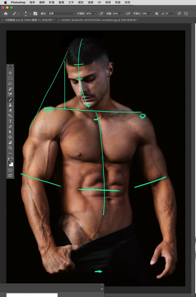 Figure study with green guide lines comparing the positions of landmarks