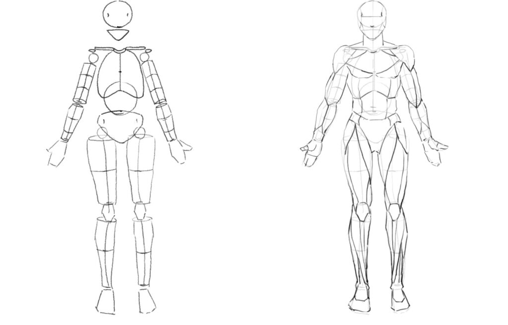 Static upright figure divided into head-length proportions